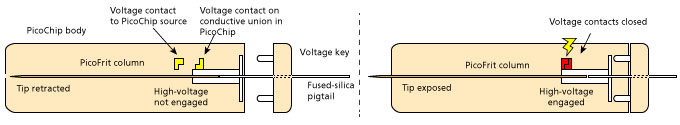 pch_Illustrated